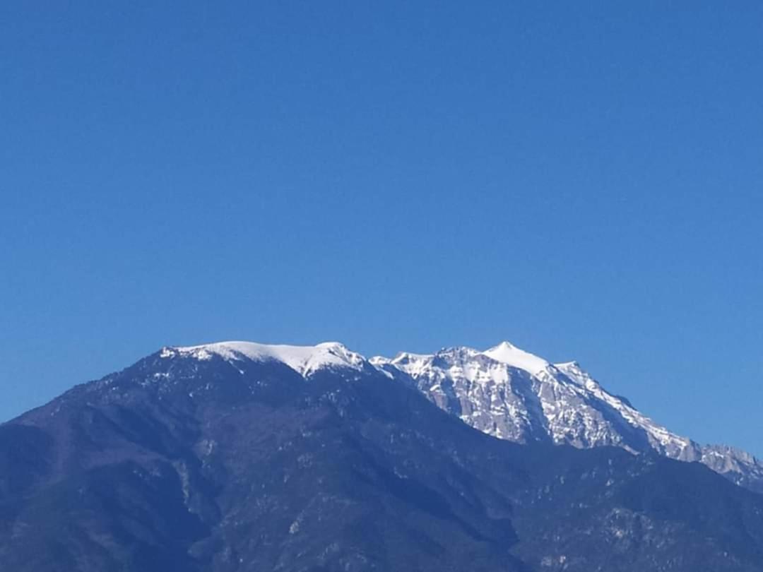 Apartmani Dedalus Paralía Esterno foto